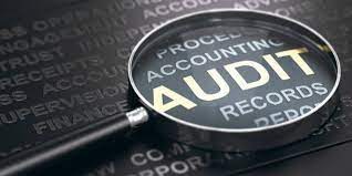 Natural Resource Auditing