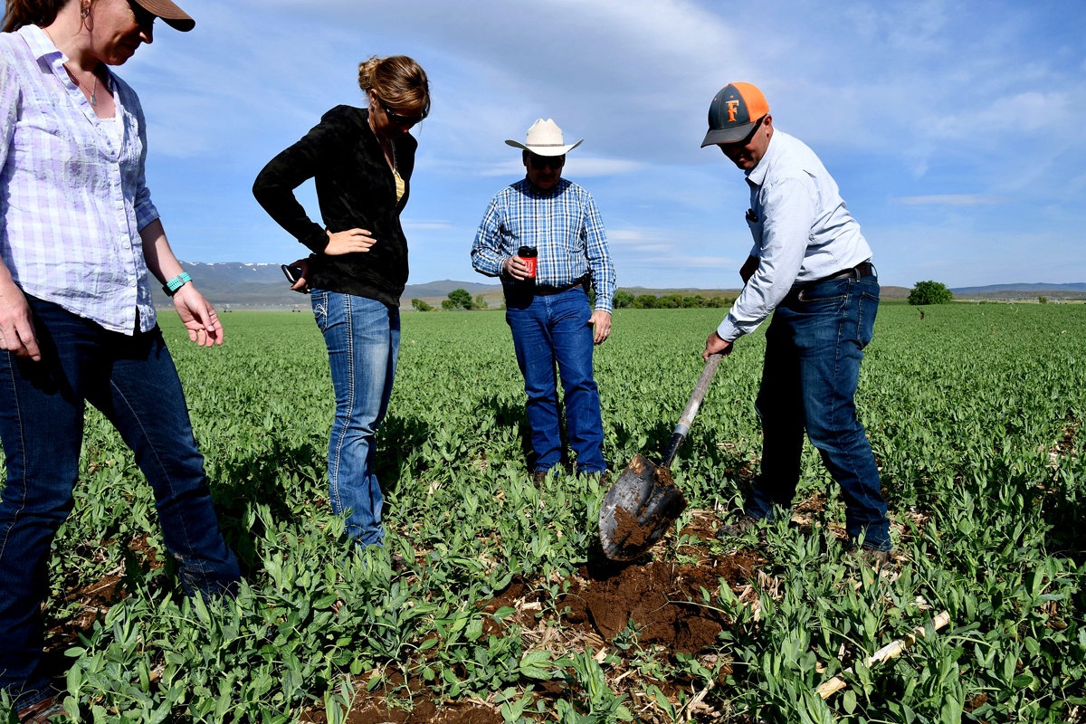 17% Jump in Yeild: How Regenerative Agriculture is Revolutionizing US Farms