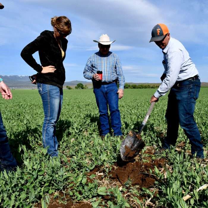 17% Jump in Yeild: How Regenerative Agriculture is Revolutionizing US Farms